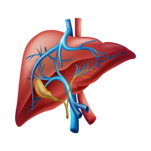 shivaay advance gastro and liver centre