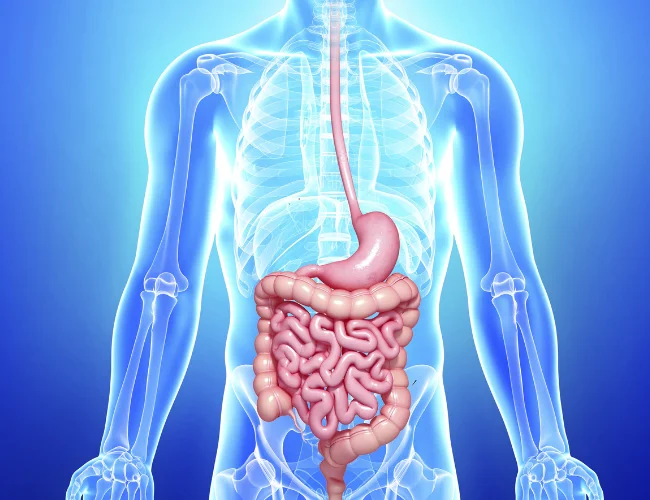 Diagnostic | Shivaay advance gastro and liver centre